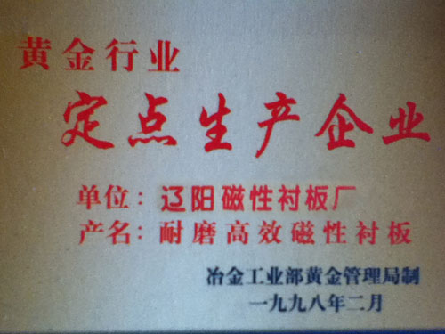 耐磨高效磁性襯板黃金行業(yè)定