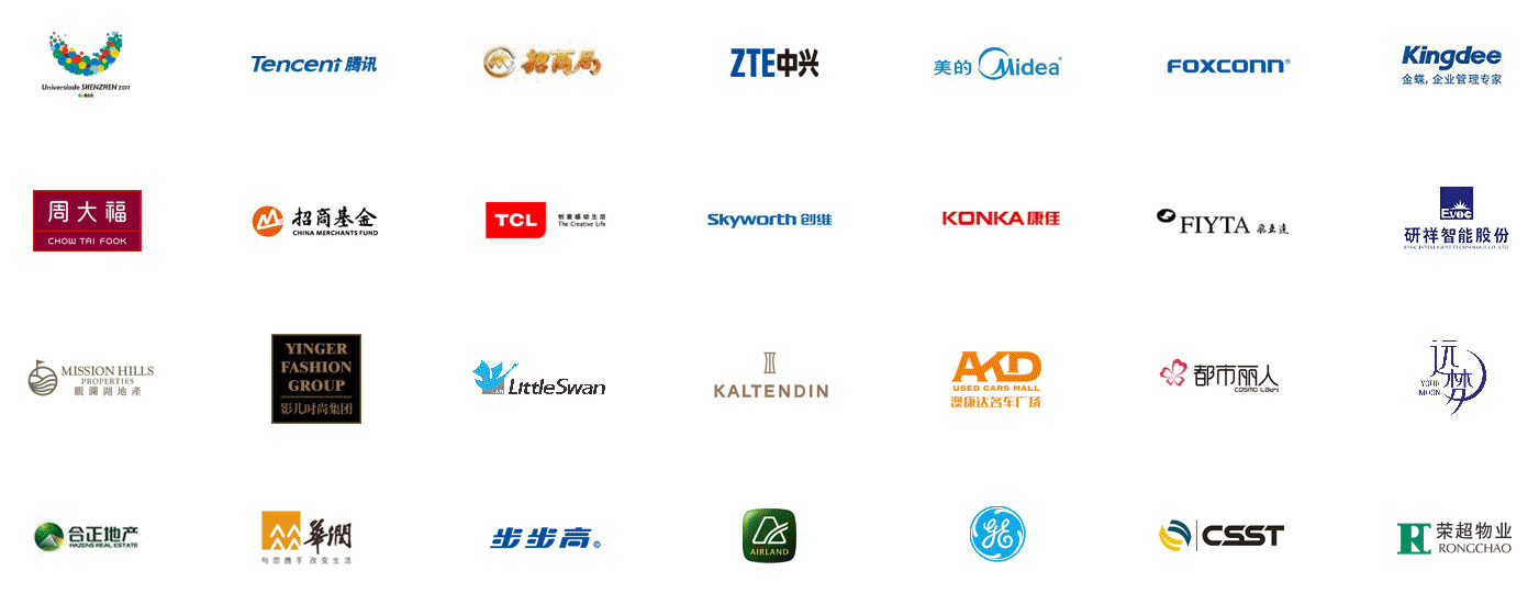 500強集團公司網(wǎng)站建設(shè)供應(yīng)商